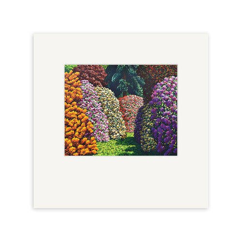 The Karl Maughan - Cambridge Small Art Print features a white border and depicts a garden path framed by vibrant orange, white, pink, and purple blooming bushes, with lush green grass and trees in the background.