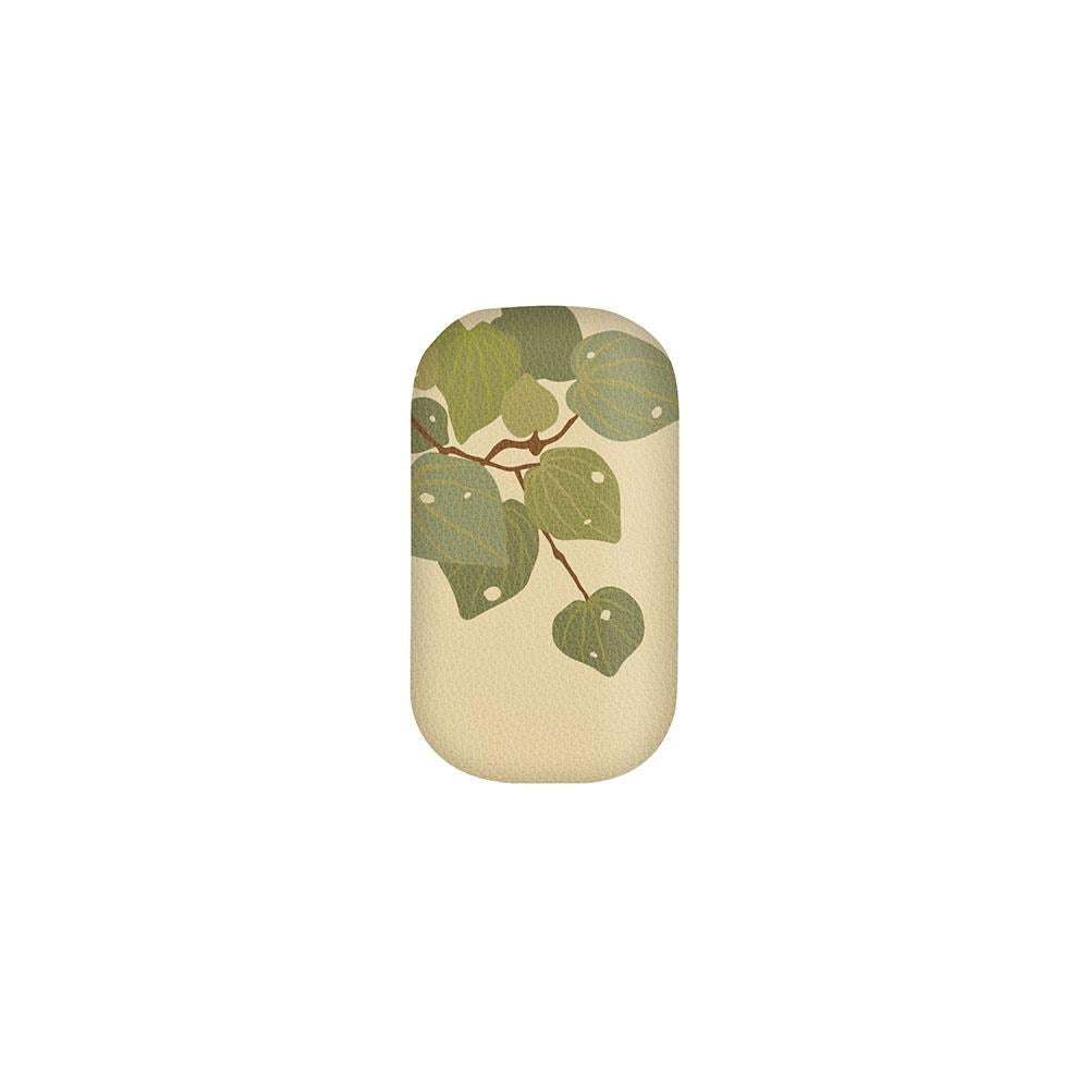 The Raw Kawakawa Trinket Box is a small, rectangular storage case with rounded edges, a beige background, and a simple green leaf and branch design—an elegant gift idea.