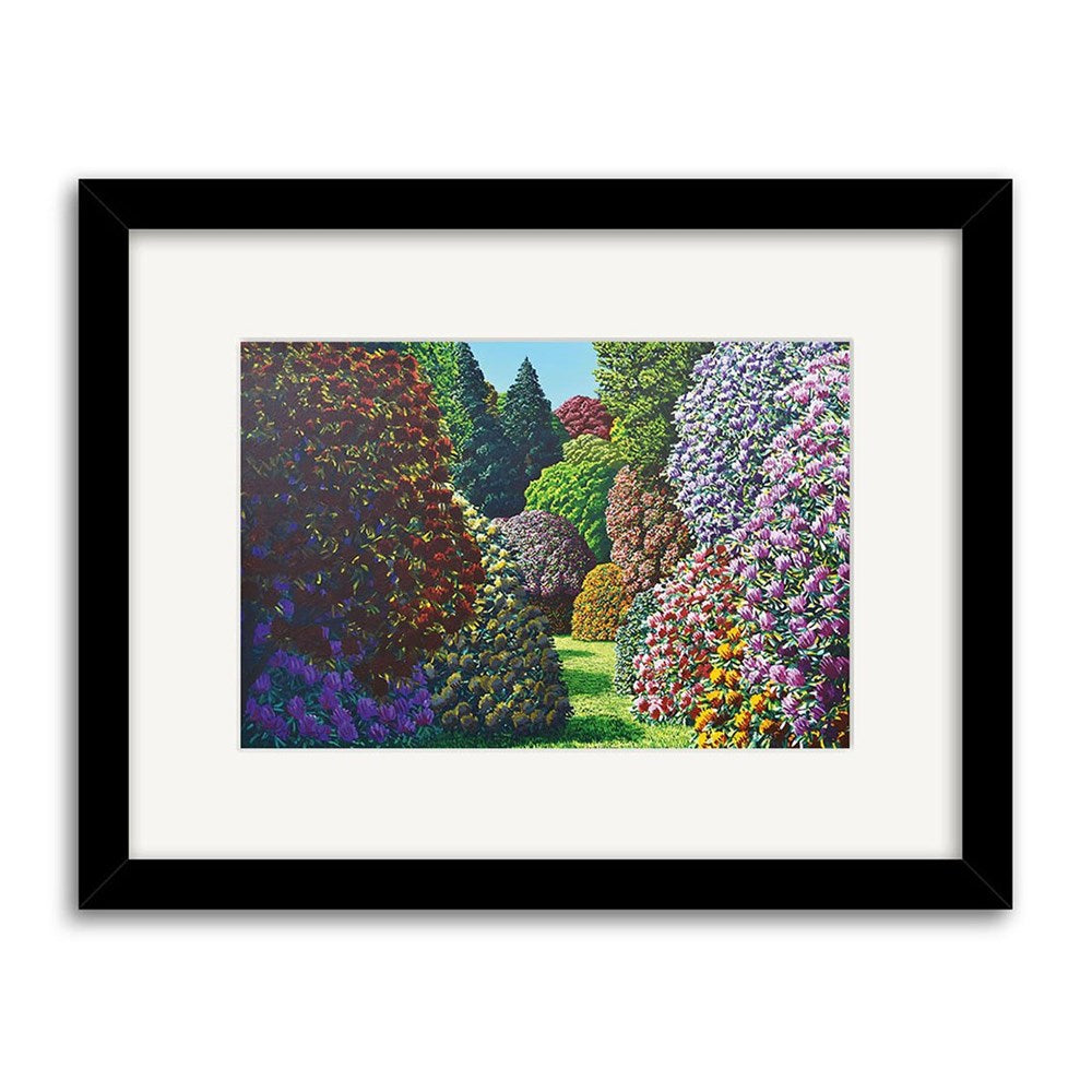 Karl Maughan - Forest Hill Small Art Print: Second Frame is a limited edition artwork featuring a vibrant garden scene with flowering bushes, green grass, tall trees, and comes framed in black with a white mat. Made in New Zealand.