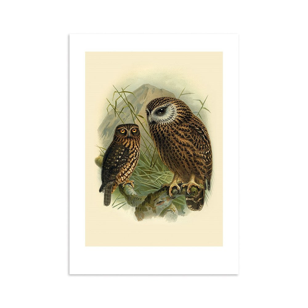 The Ruru Bullers Bird Print is an archival quality illustration of two brown owls with patterned feathers on a branch, set against a neutral backdrop with green foliage and distant mountains. Made in New Zealand.