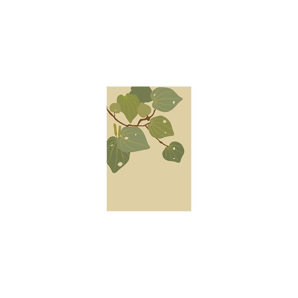The Raw Kawakawa Gift Card & Envelope (6 Pack) features an illustration of a Kawakawa branch with green leaves on a beige background—an elegant way to share New Zealand’s natural beauty, ideal for gifts or home decor.
