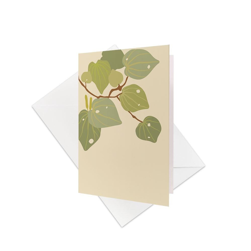 The Raw Kawakawa Gift Card & Envelope (6 Pack) features a leafy green kawakawa branch illustration—ideal for New Zealand-inspired gifting. Each card comes with a white envelope and is displayed on a white background.