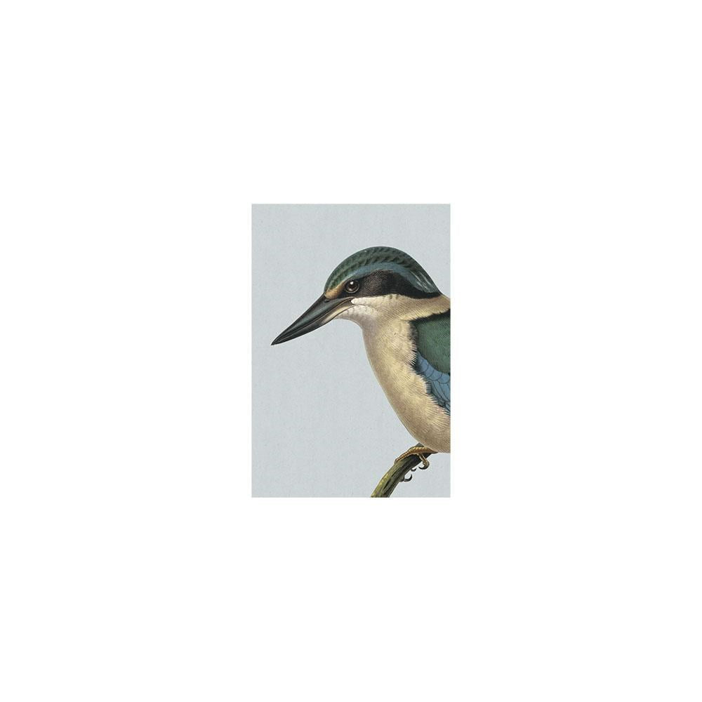 The Hushed Kingfisher Gift Card & Envelope (6 Pack) features a detailed New Zealand Kingfisher with a dark beak, cream chest, and green-blue wings on a light gray background—ideal for gift cards or personalized messages.