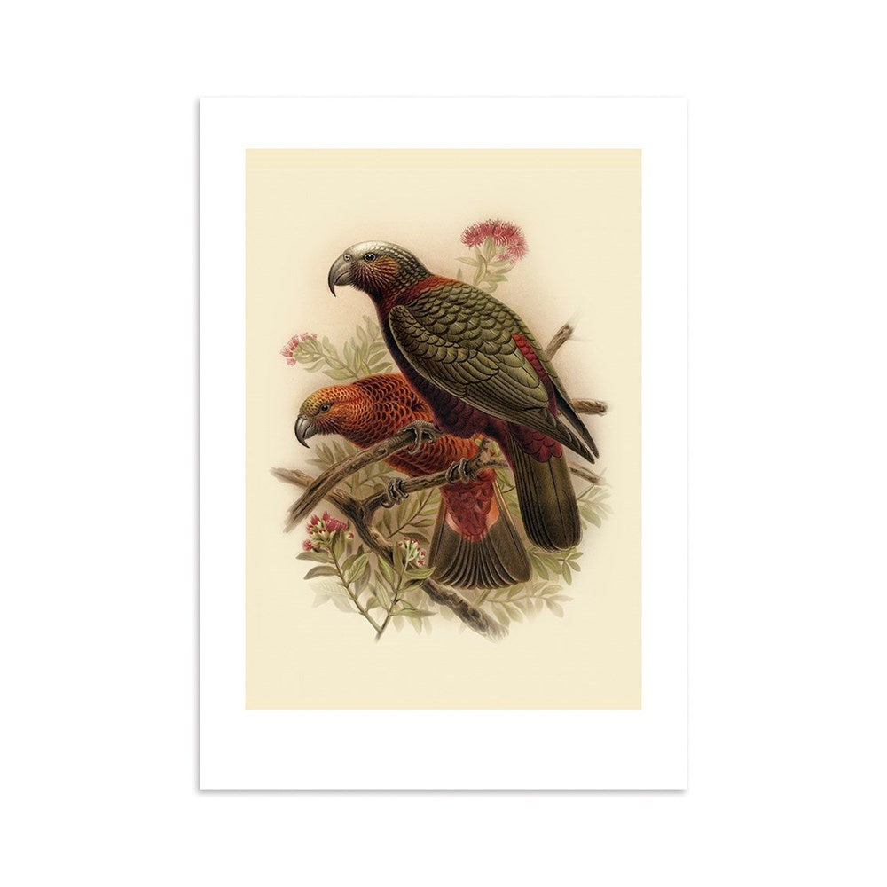 The Kaka Bullers Bird Print features two parrots with dark green wings and reddish-brown bodies perched among green leaves and pink flowers, all set against a light beige background, in an illustration inspired by Buller’s Birds.