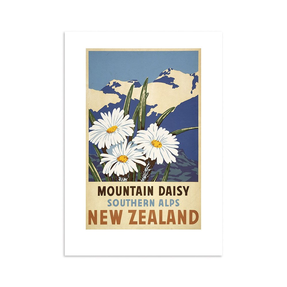 Southern Alps Daisy Tourist Print: Features white daisies with green leaves before snow-capped mountains. Text reads Mountain Daisy, Southern Alps, New Zealand. Ideal collectible art for fans of New Zealand posters and landscapes.