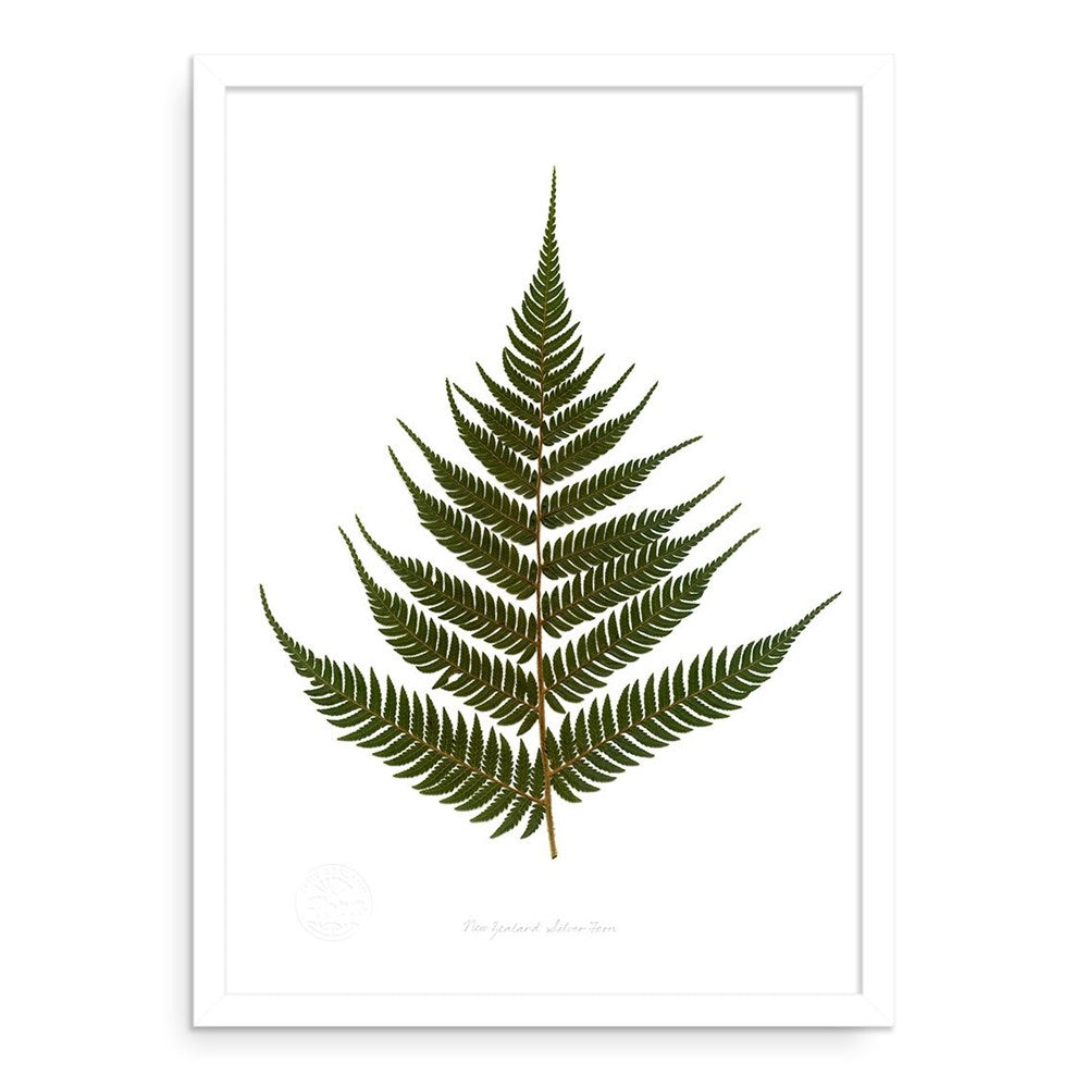 The Flora Green Fern A2 Print is a framed artwork showcasing a detailed illustration of a green fern leaf, inspired by New Zealand flora and set against a plain white background.