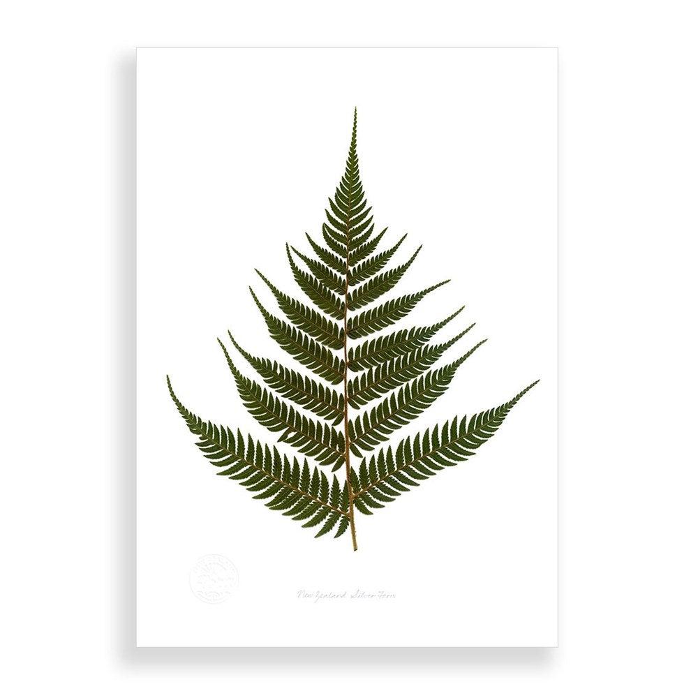 The Flora Green Fern A2 Print features a single green fern frond, centered on a plain white background. The detailed image showcases New Zealand flora, highlighting the leaflets and stem with exceptional clarity.