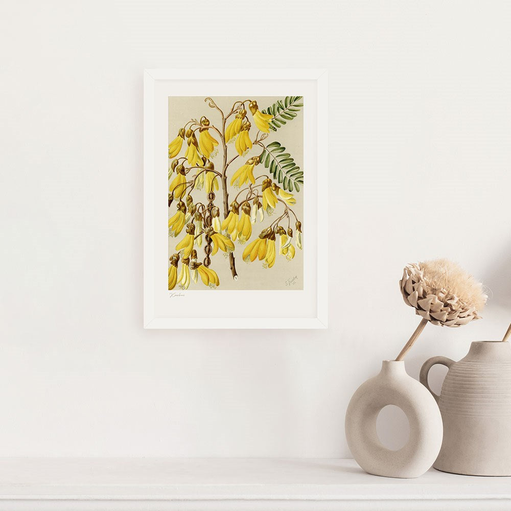 A framed Botanical Illustration Kowhai Print featuring yellow New Zealand flora with green leaves hangs on a white wall above a shelf with neutral ceramic vases and dried flowers.