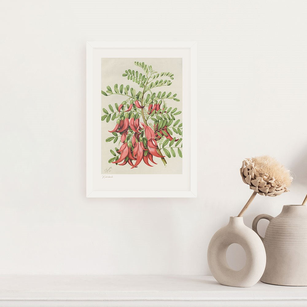 A framed Botanical Illustration Kakabeak Print, featuring New Zealand flora with green leaves and red flowers, hangs on a white wall above a shelf with two beige vases and dried flowers.