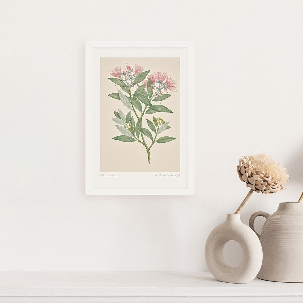 The Vintage Botanical Pohutukawa Print, featuring New Zealand flora with green leaves and pink flowers, hangs above a shelf with neutral vases and dried flowers, adding a minimal touch that highlights the print’s vintage charm.