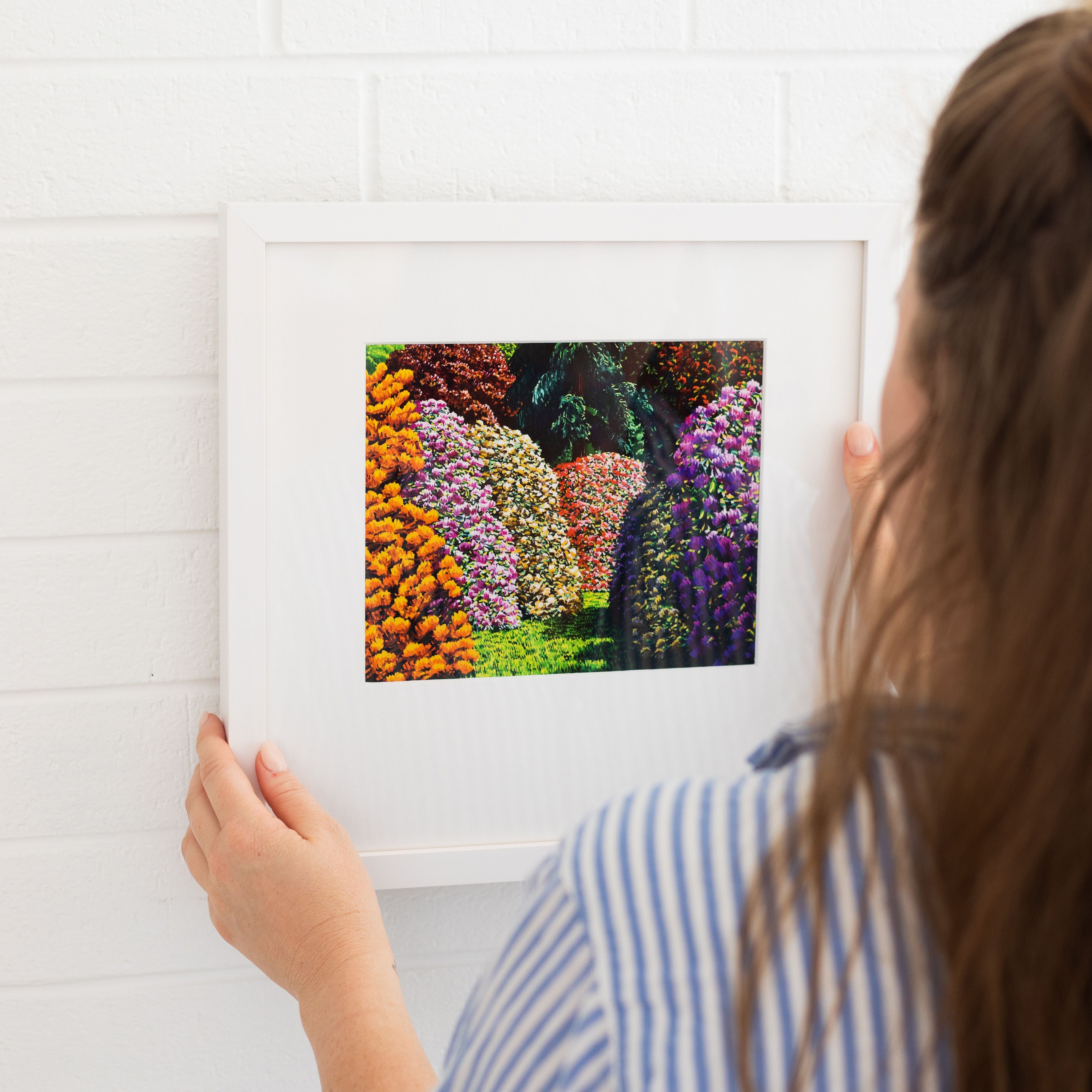 A person with long brown hair hangs the Karl Maughan - Cambridge Small Art Print, featuring vibrant flower bushes, on a white brick wall. Seen from behind in a blue and white striped shirt, they highlight the beauty of New Zealand artist prints.