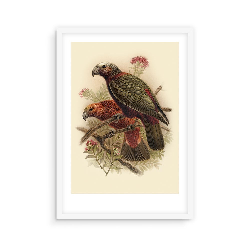 The Kaka Bullers Bird Print depicts two parrots with red and green feathers perched among leafy branches and pink flowers on a light beige background, presented in a white frame for archival quality display.