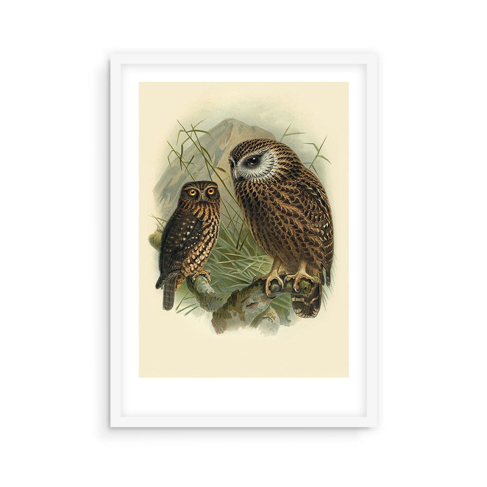 The Ruru Bullers Bird Print shows two owls on a branch with grass and mountains, inspired by Bullers Birds, presented as an archival quality print in a white frame against a plain white wall.