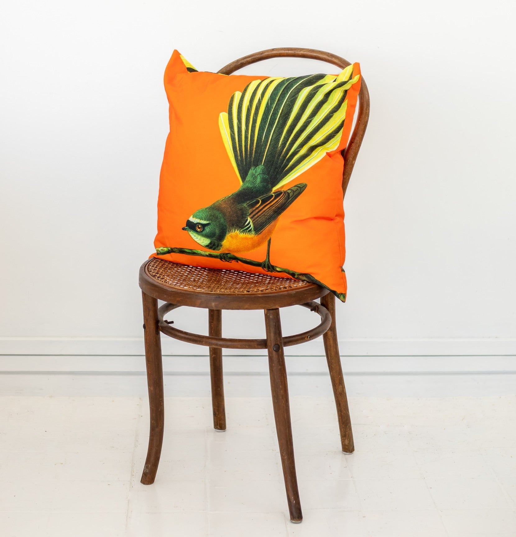 A wooden chair with a cane seat sits against a white wall. On the chair is an orange Bright Fantail Cushion Cover featuring a large, realistic bird with a long tail printed on polyester.