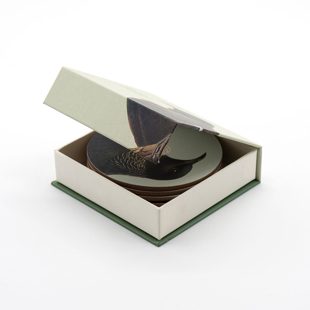 A box with a partially open lid displays the Hushed Birds Set of 6 Coasters featuring illustrations of New Zealand native birds. The box and coasters are presented on a plain white background.