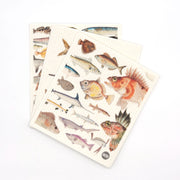 Two eco-friendly Swedish Dishcloths - Fishes of NZ, each featuring illustrated fish species in different sizes and colors. One cloth with colorful Kiwiana images partially overlaps the other, both set against a white background.