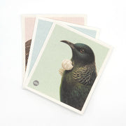 Three illustrated Swedish Dishcloths - Hushed Birds feature Kiwiana bird designs, including a detailed tui on pale green. The slightly fanned dishcloths on a white surface add an eco-friendly touch to your home.