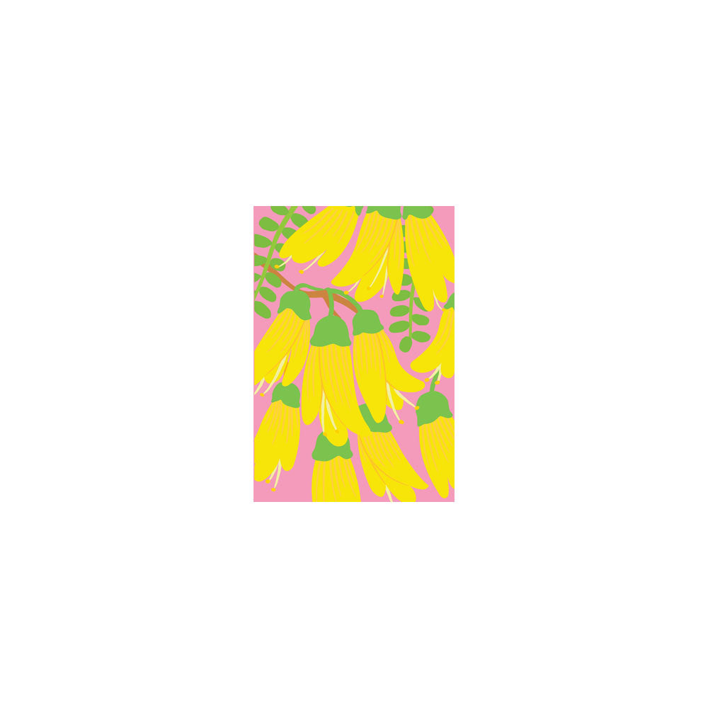 Illustration of yellow Kowhai flowers with green stems and leaves on a pink background, featured on the Bright Botanical Kowhai Gift Card & Envelope (6 Pack).