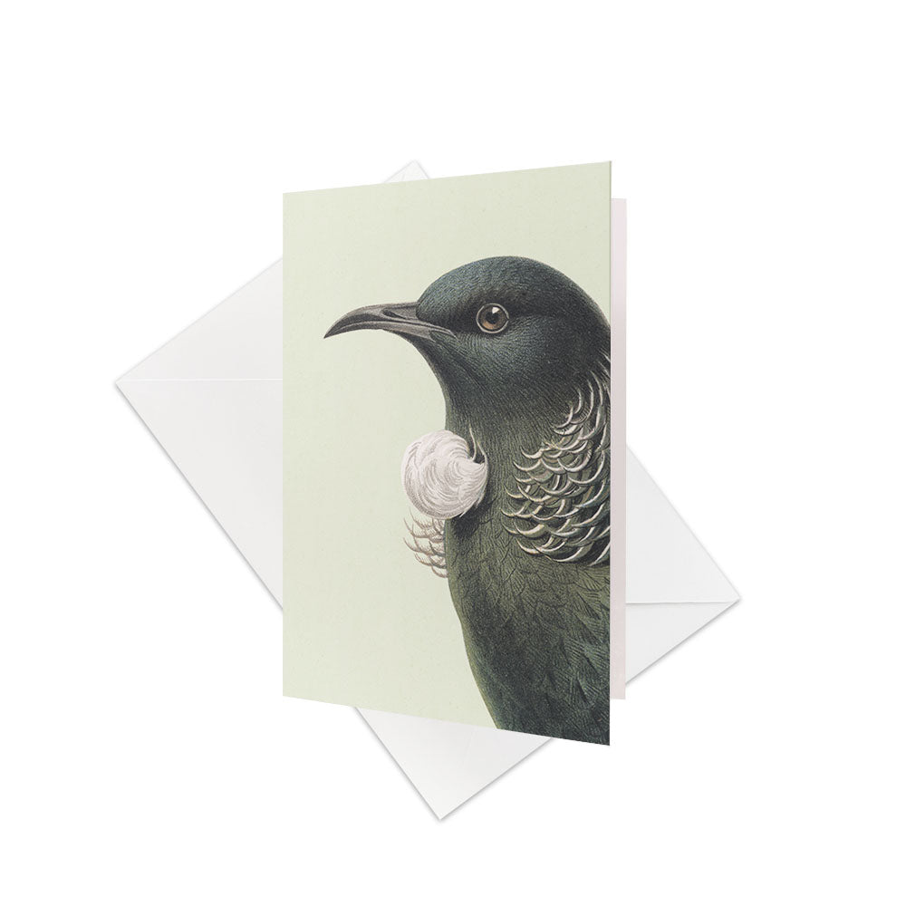 The Hushed Tui Gift Card & Envelope (6 Pack) features a beautifully illustrated Tūī, a striking bird native to New Zealand, with a white neck tuft, shown in front of a matching envelope on a plain white background.