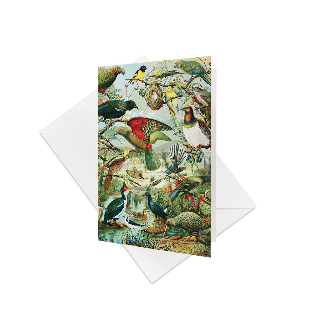 The NZ Native Birds Gift Card & Envelope (6 Pack) features vintage-style illustrations of colorful New Zealand native birds in a lush green setting—ideal for gift cards or adding your personalized message. White envelopes included.
