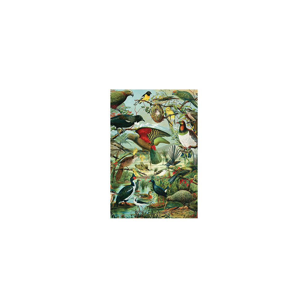 Illustration of New Zealand native birds in a lush, green setting—perched, flying, and swimming. Ideal for adding a message or gifting. NZ Native Birds Gift Card & Envelope (6 Pack).
