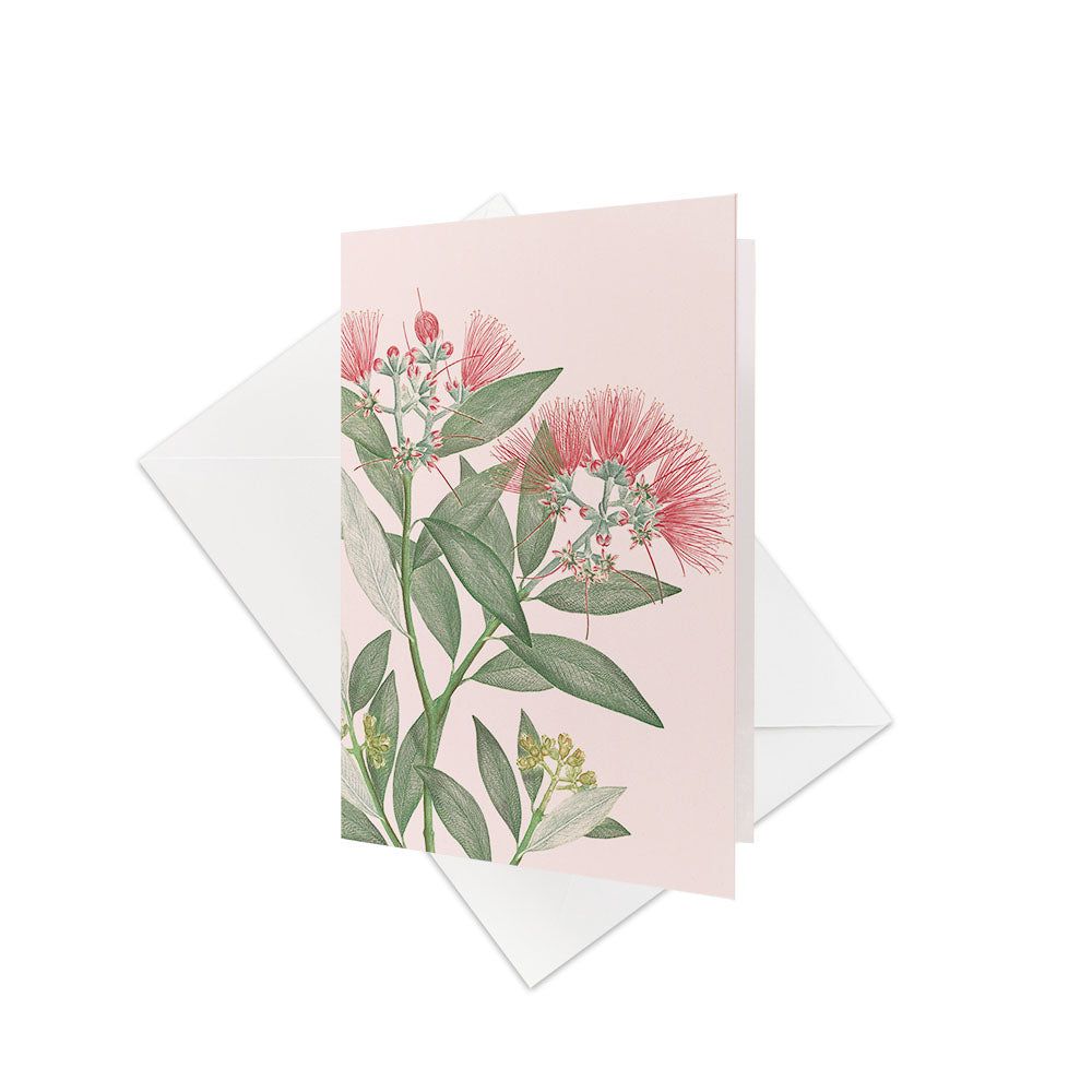 The Vintage Botanical Pohutukawa Gift Card & Envelope (6 Pack) features a card with green leaves and pink Pōhutukawa flowers, displayed standing in front of a plain white envelope on a white background.
