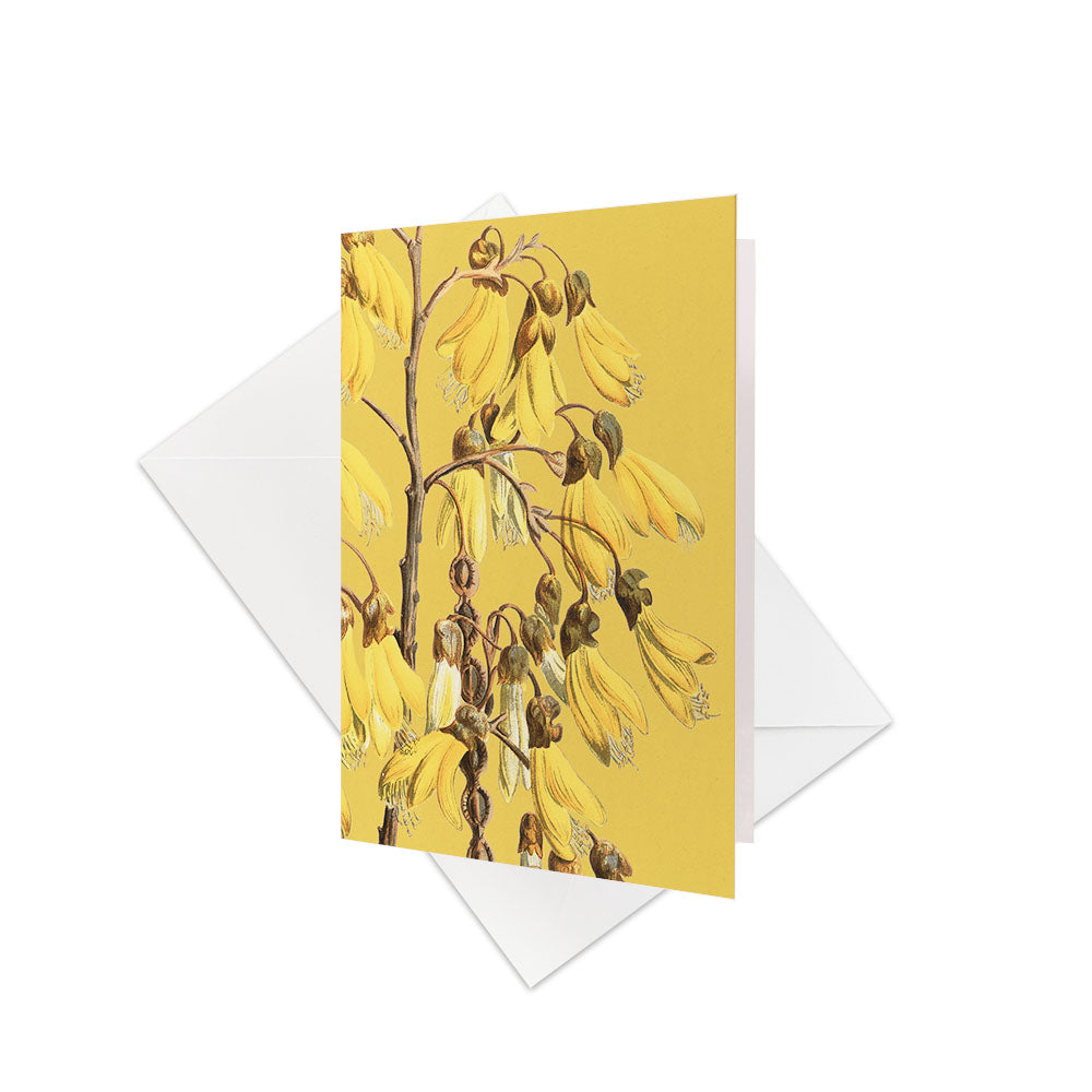 The Vintage Botanical Kowhai Gift Card & Envelope (6 Pack) features a yellow background with kōwhai flower illustrations on brown stems, inspired by New Zealand, and comes with plain white envelopes.