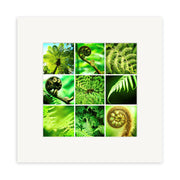 The Ferns Lomo Print features a collage of nine square close-up photos of green fern leaves and curled fronds, all in Lomo style, arranged in a crisp white mat frame for a striking matted wall art display.