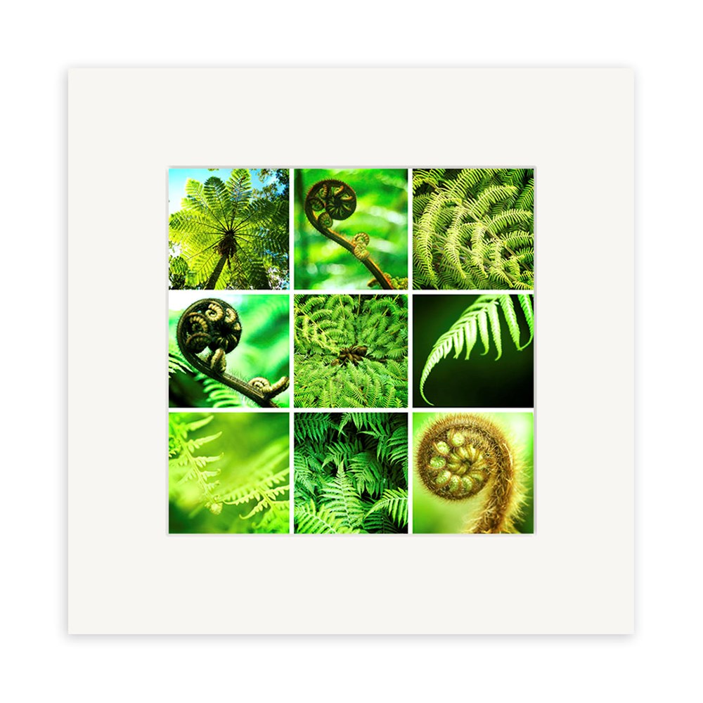 The Ferns Lomo Print features a collage of nine square close-up photos of green fern leaves and curled fronds, all in Lomo style, arranged in a crisp white mat frame for a striking matted wall art display.
