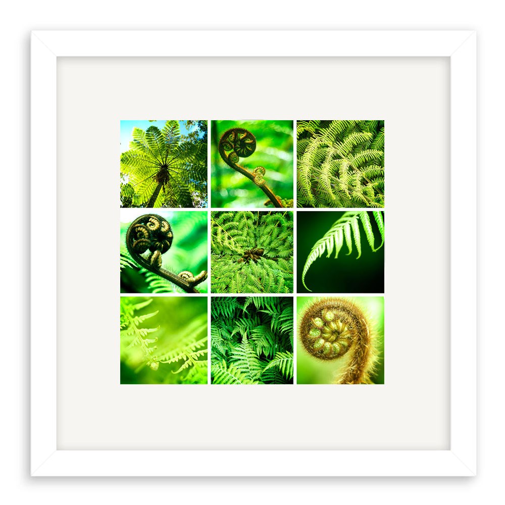 The Ferns Lomo Print is a white-framed collage with nine square photos of green ferns in different stages of unfurling, shown in various close-up perspectives on a plain white background.