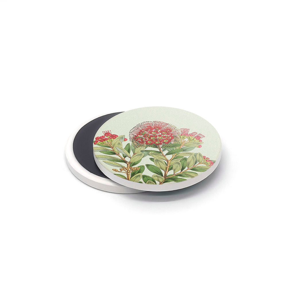 Part of the Vintage Botanical Ceramic Magnet Set, a round magnet showcases a botanical illustration of a New Zealand flowering plant with red blossoms and green leaves, while another plain black magnet is partially visible beneath on a white background.