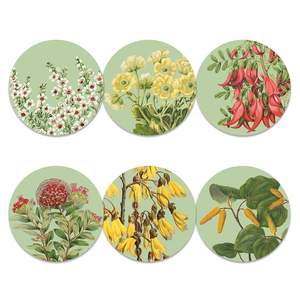 The NZ Native Botanicals Box of 6 Placemats features realistic illustrations of native flowers, each with unique colors and shapes on a light green background, cork backed for lasting durability and natural charm.