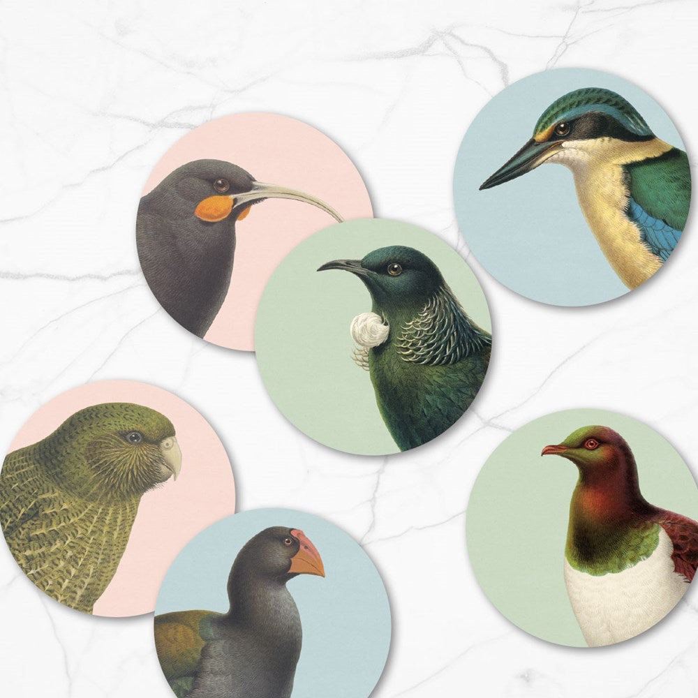 Six Hushed Birds placemats, each with a New Zealand native bird portrait on a pastel background, are displayed on a white marble surface—ideal to pair with matching coasters.