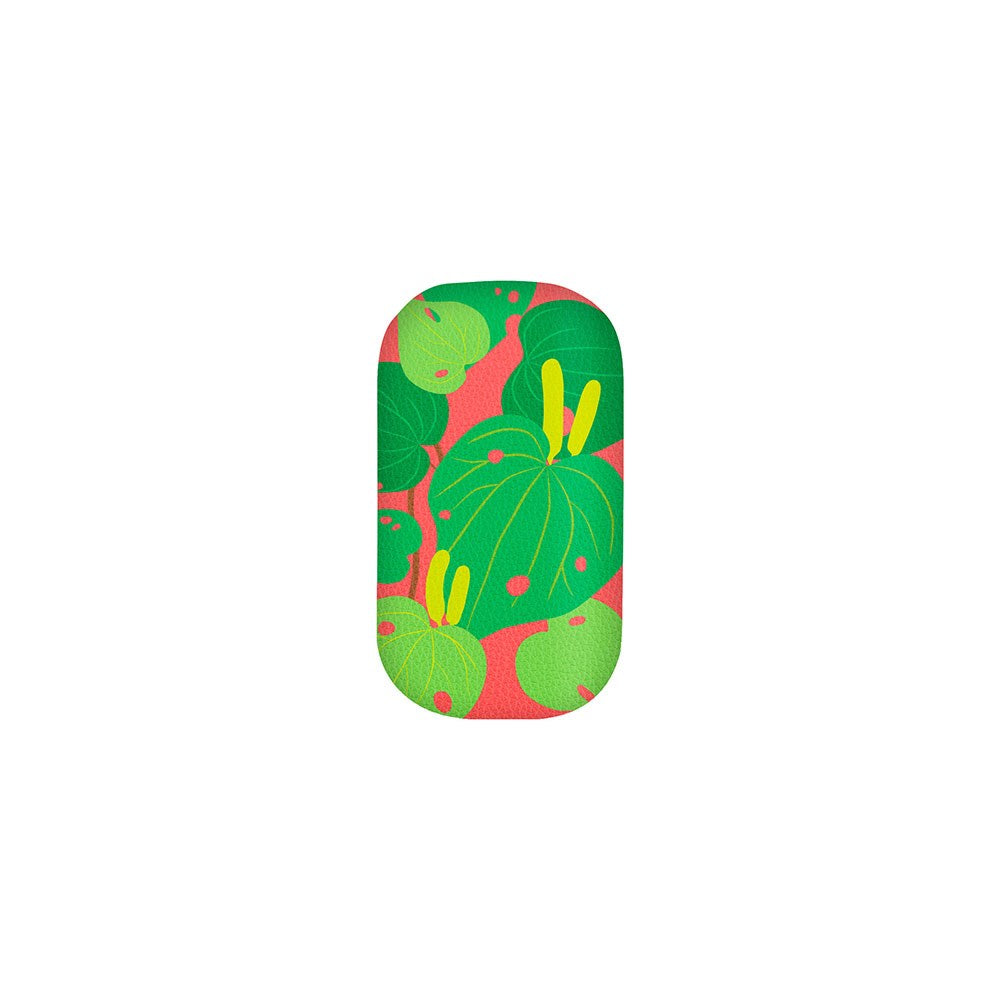 The Bright Botanical Kawakawa Trinket Box is a rectangular case with rounded edges, showcasing large green leaves and yellow accents on a coral pink background.