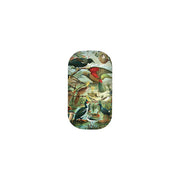 The NZ Native Birds Trinket Box is a rectangular case with rounded corners, featuring a detailed illustration of colorful birds among dense green foliage on a white background. A great gift for travel accessories lovers.