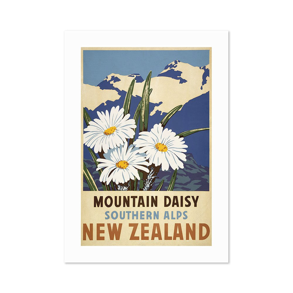 The Southern Alps Daisy Tourist Print is a vintage-style archival poster featuring white mountain daisies and green leaves before snow-capped peaks. Bold, colorful text reads Mountain Daisy Southern Alps New Zealand—a must-have for poster collectors.