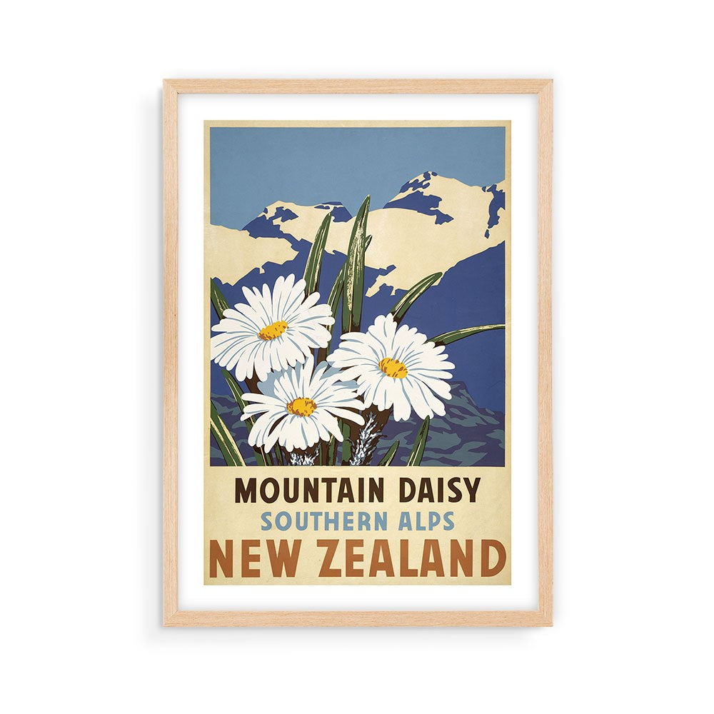 The Southern Alps Daisy Tourist Print is a framed vintage-style archival print showing white mountain daisies before the Southern Alps, with text: “Mountain Daisy Southern Alps New Zealand.” Ideal for fans of collectible New Zealand posters.