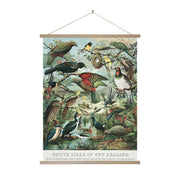 The Native Birds of New Zealand Wall Chart features vibrant vintage-style illustrations of native birds among plants and water, offering instant art appeal. Comes with a wooden hanger and string for easy display.