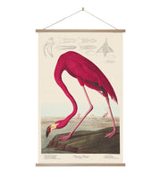 The Flamingo Wall Chart Wall Chart features a vintage-style illustration of a Pink Flamingo near water with others and scientific diagrams in the background, hanging from wooden battens—perfect for New Zealand-inspired decor.