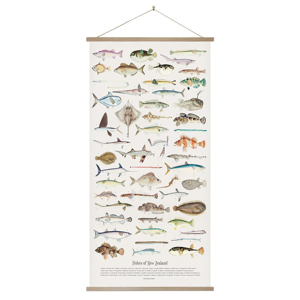 The Fishes of New Zealand Wall Chart displays vintage illustrations of native fish and marine species with names labeled beneath each image. Hung with a wooden frame and string, it’s perfect instant art for any space.