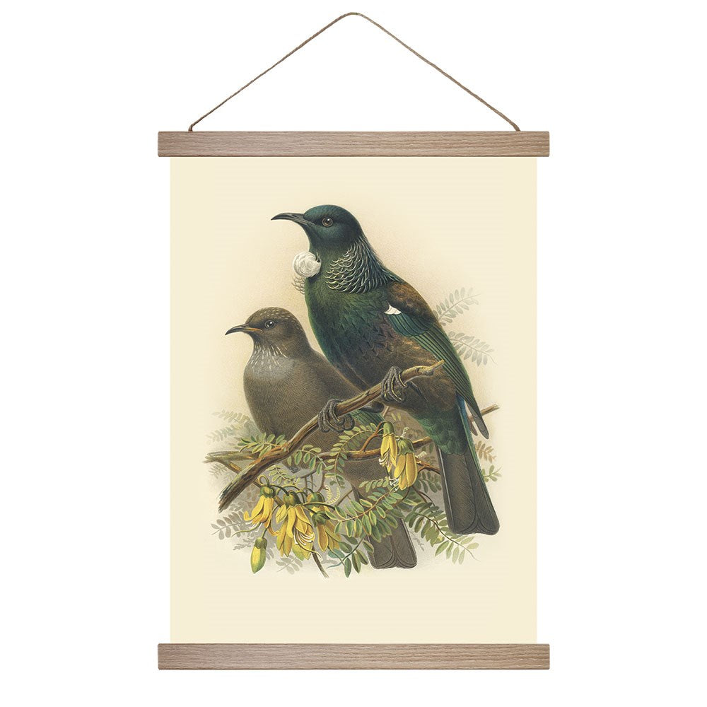 The Bullers Tui Wall Chart displays vintage art of two birds—one iridescent, one brown—on a flowering branch with green foliage. Made in New Zealand, it includes wooden battens for easy hanging.