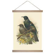 The Bullers Tui Wall Chart displays vintage art of two birds—one iridescent, one brown—on a flowering branch with green foliage. Made in New Zealand, it includes wooden battens for easy hanging.