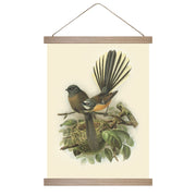 The Bullers Fantail Wall Chart features a small bird with a fanned tail on a branch beside a nest, presented in a wooden hanging frame with battens, bringing vintage art charm to any space.