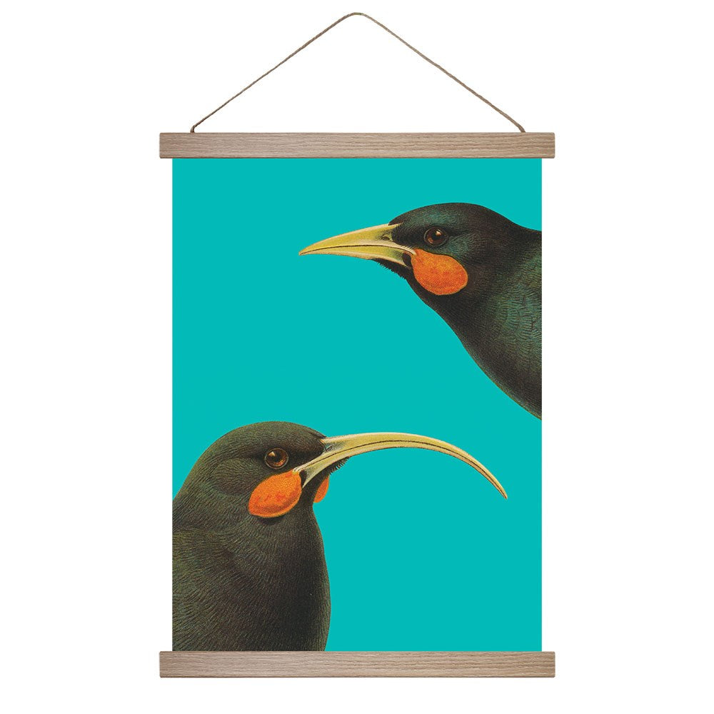 Bright Huia Wall Chart: Features two black birds with long yellow beaks and orange cheek patches on a vibrant turquoise background in a wooden hanging frame, inspired by vintage Bullers Book bird illustrations.