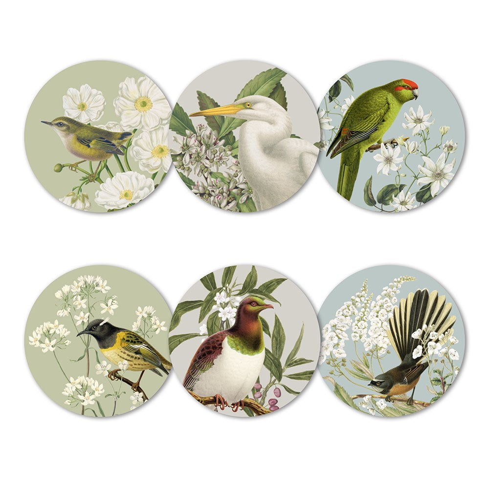 The Birds & Botanicals of NZ Box of 6 Placemats features round illustrations of different New Zealand birds among flowers or foliage, with green, blue, and beige backgrounds—ideal for adding beauty to your table.