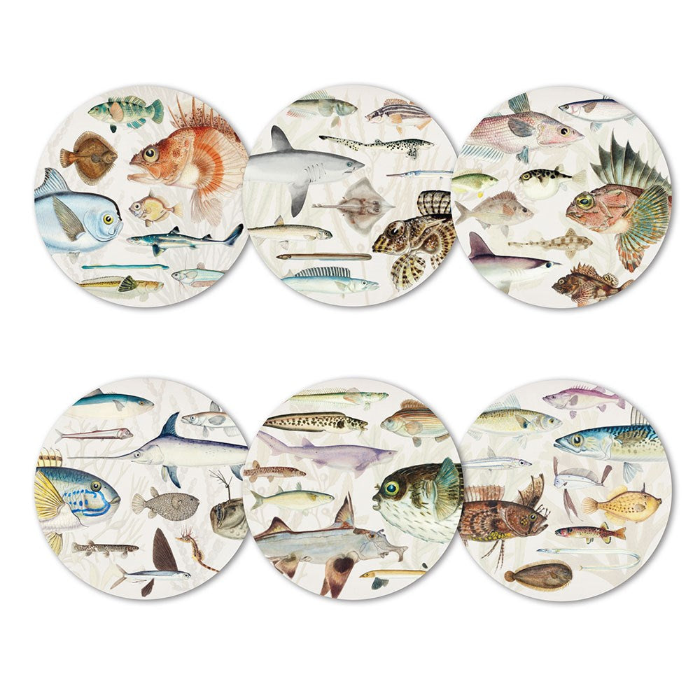 The Fishes of NZ Box of 6 Placemats features detailed illustrations of New Zealand fish on each placemat, adding unique color and style to your table setting. Each cork-backed placemat varies in size, shape, and background shade.