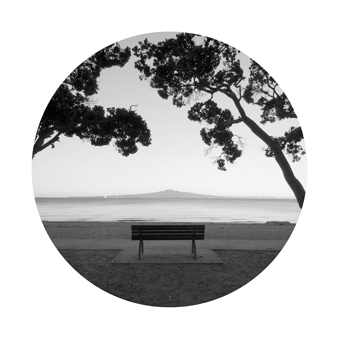 Mission Bay Art Spot is a black and white circular wall art featuring a bench between two trees by the water with an island in the distance, offered as striking repositionable décor thanks to its unique adhesive.