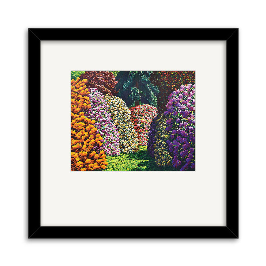 The Karl Maughan - Cambridge Small Art Print showcases a vibrant garden of colorful flowering bushes beneath green trees, set in a black frame with a pale mat.