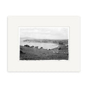 Orakei 1900 - HI048: Black and white historical print of a grassy hillside overlooking a curved coastline with water, trees, grazing animals, and distant buildings under a partly cloudy sky. Made in New Zealand.