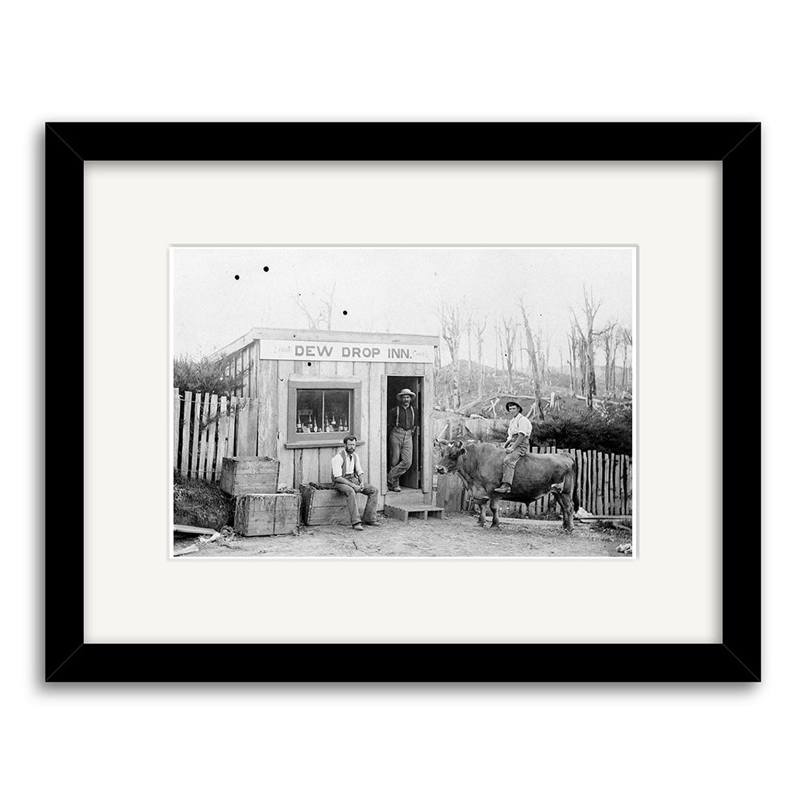 A black-and-white historical print, Dew Drop Inn 1910 - HI140, shows a small NZ building labeled Dew Drop Inn, with two men outside—one seated on a barrel, the other on a donkey—plus barrels, a wooden fence, and leafless trees in back.